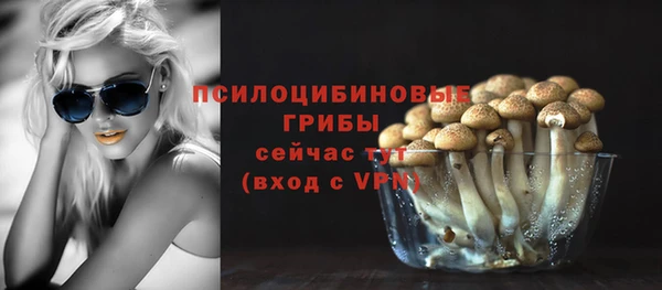 дурь Алзамай