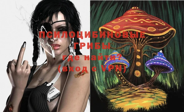 дурь Алзамай