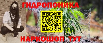 прущие грибы Ликино-Дулёво
