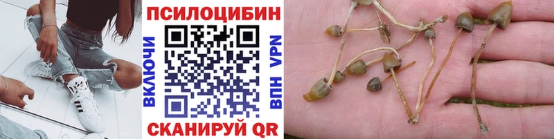 сайты даркнета состав  Чусовой  Псилоцибиновые грибы Psilocybine cubensis  blacksprut как войти 