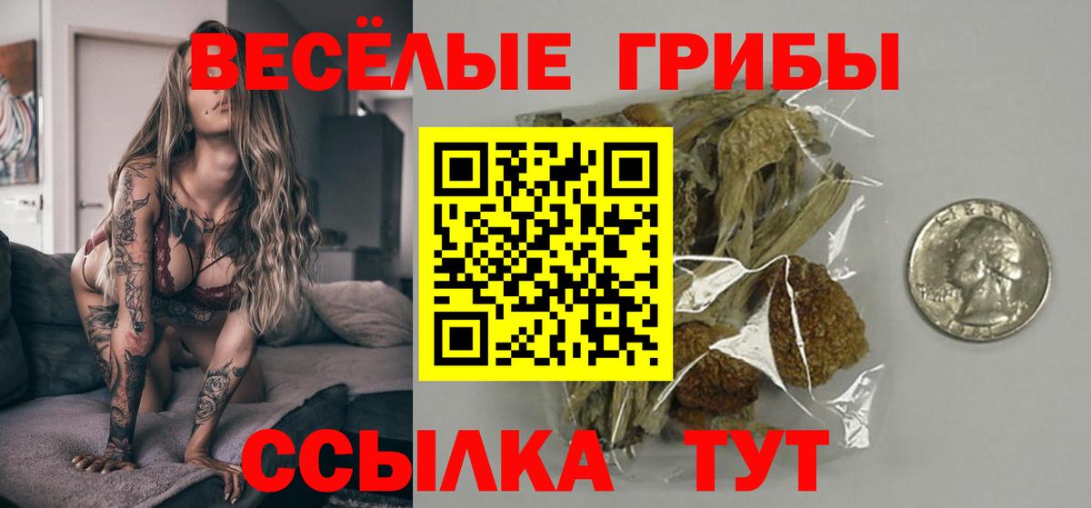 Галлюциногенные грибы прущие грибы  Галлюциногенные грибы Psilocybine cubensis  Вход с VPN  Чусовой 